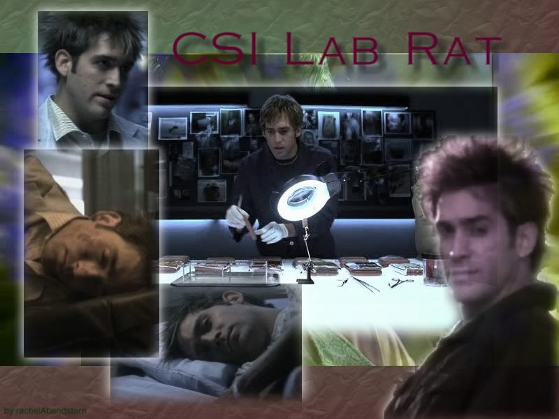 download the lab rats