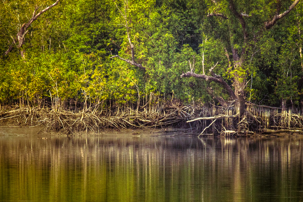 Sundarban Tourism