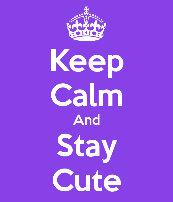 Keep Calm And Stay Cute Carry On Image Generator