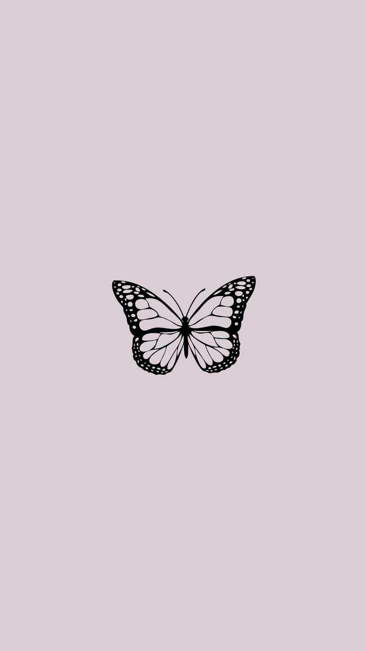 Aesthetic Butterfly Wallpaper Download  MobCup