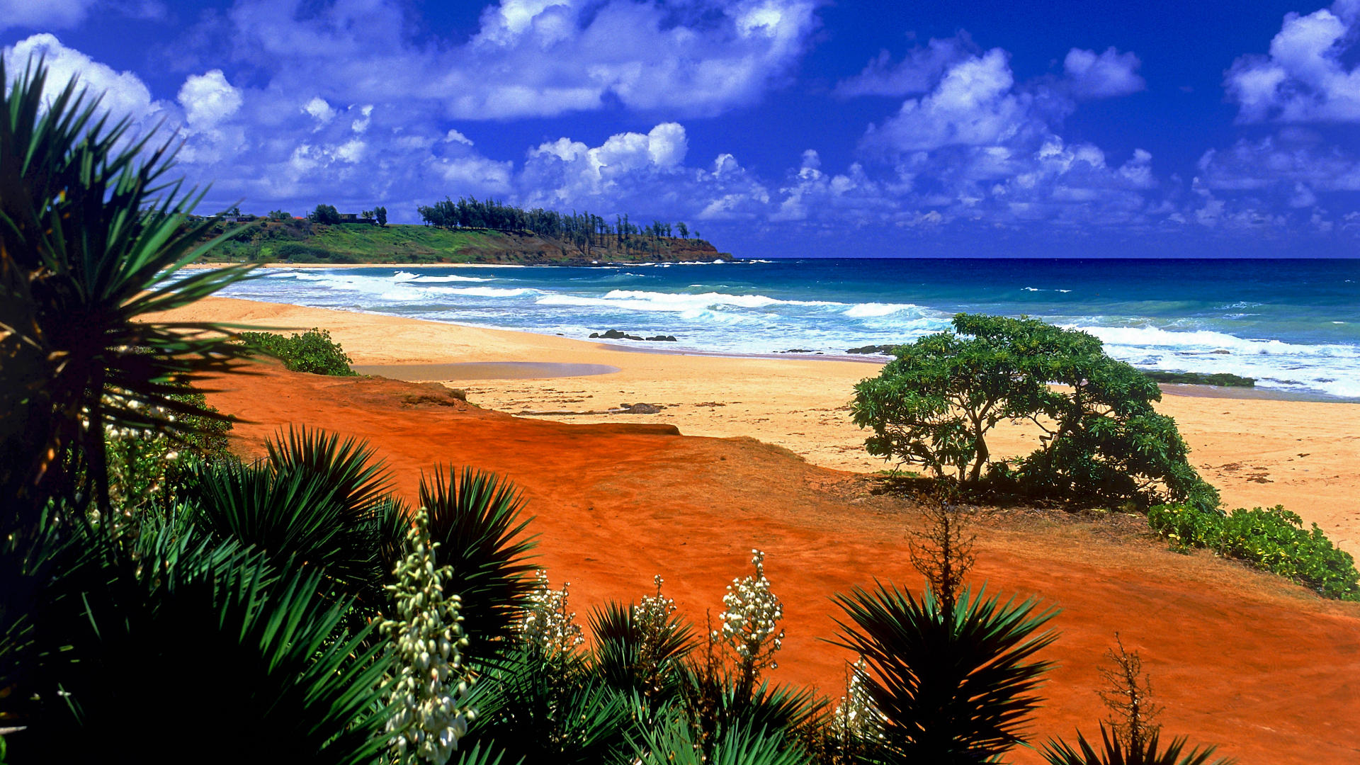 Background Beach Desktop Hawaii Kealia Kauai