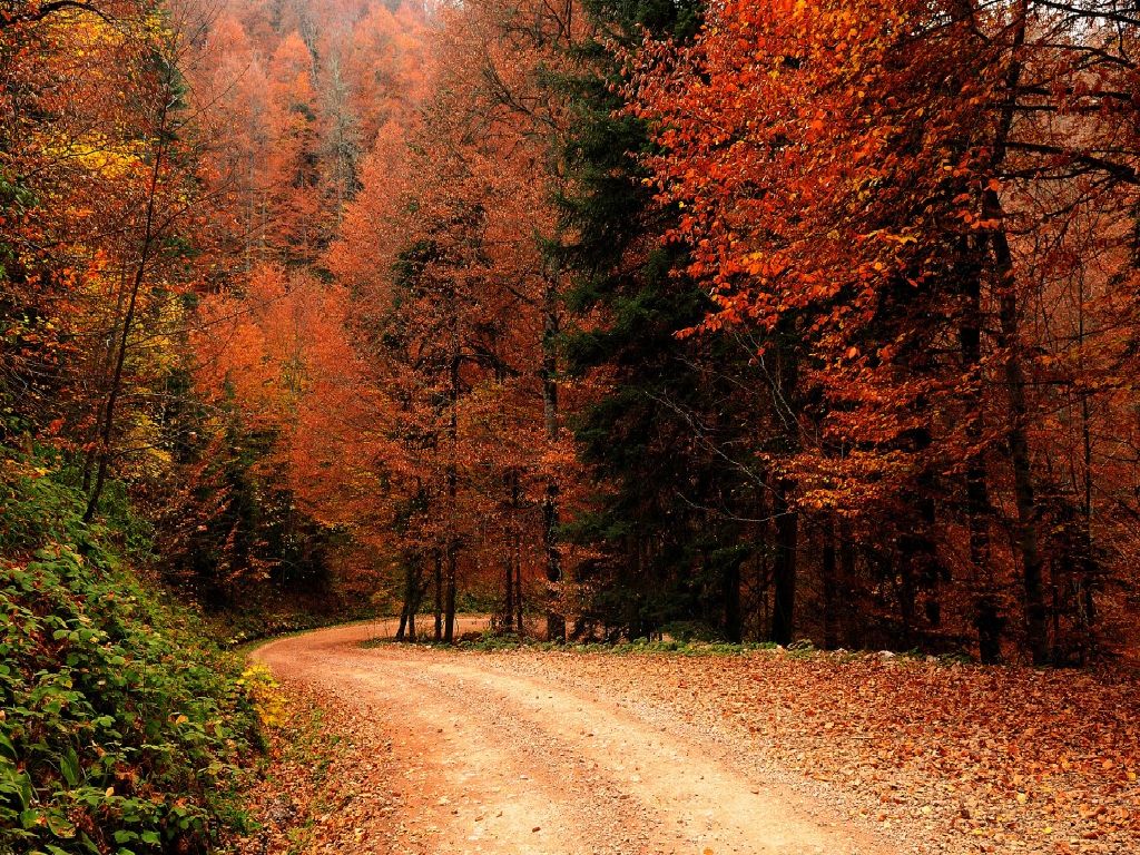 43+] Fall Nature Wallpaper on