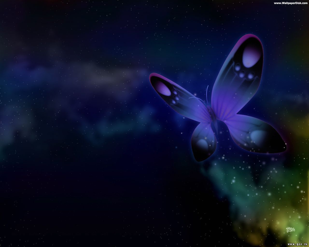 Wallpaper 3d Butterfly And Pictures