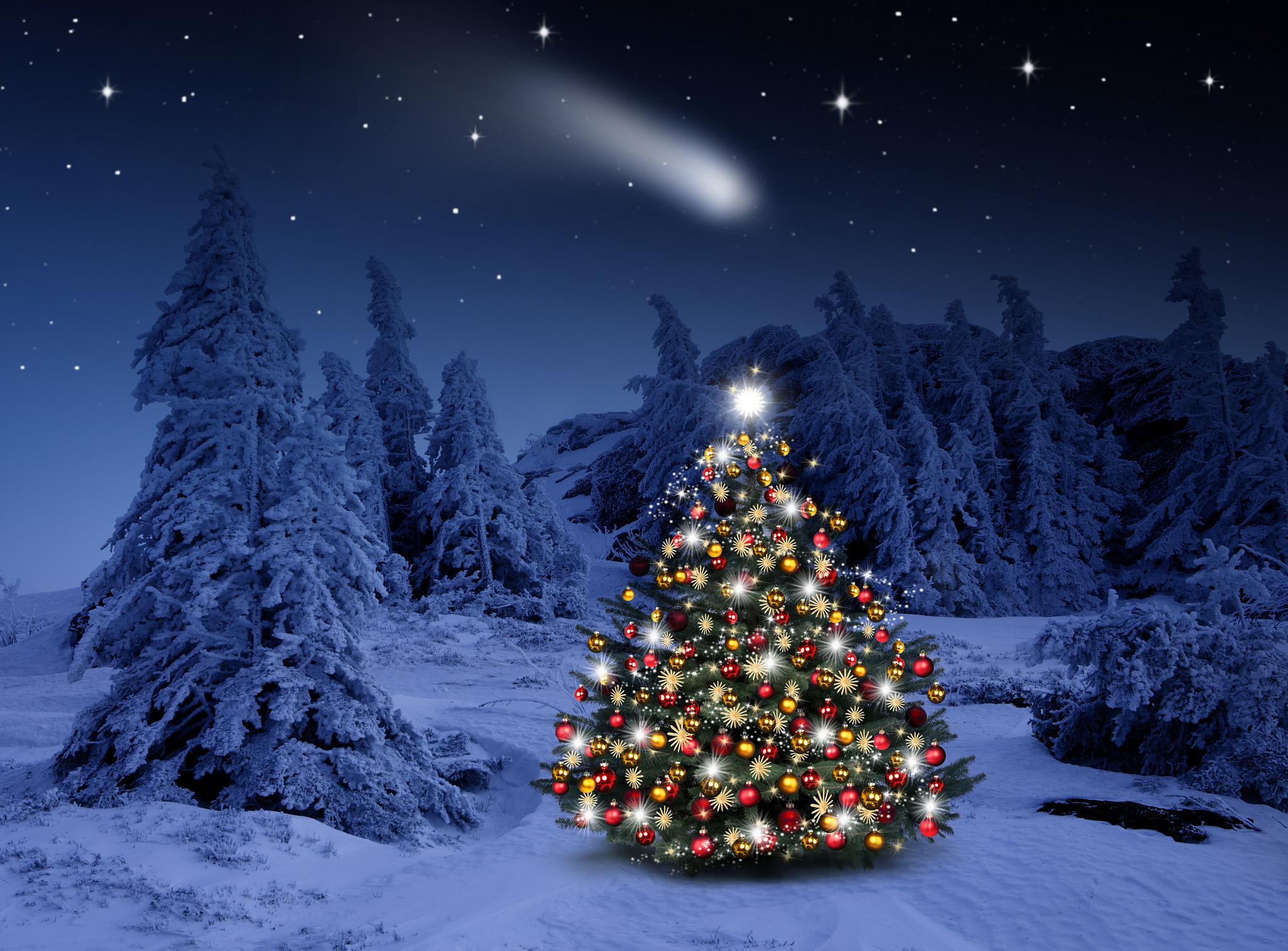 Lighted Christmas Tree In Winter Forest