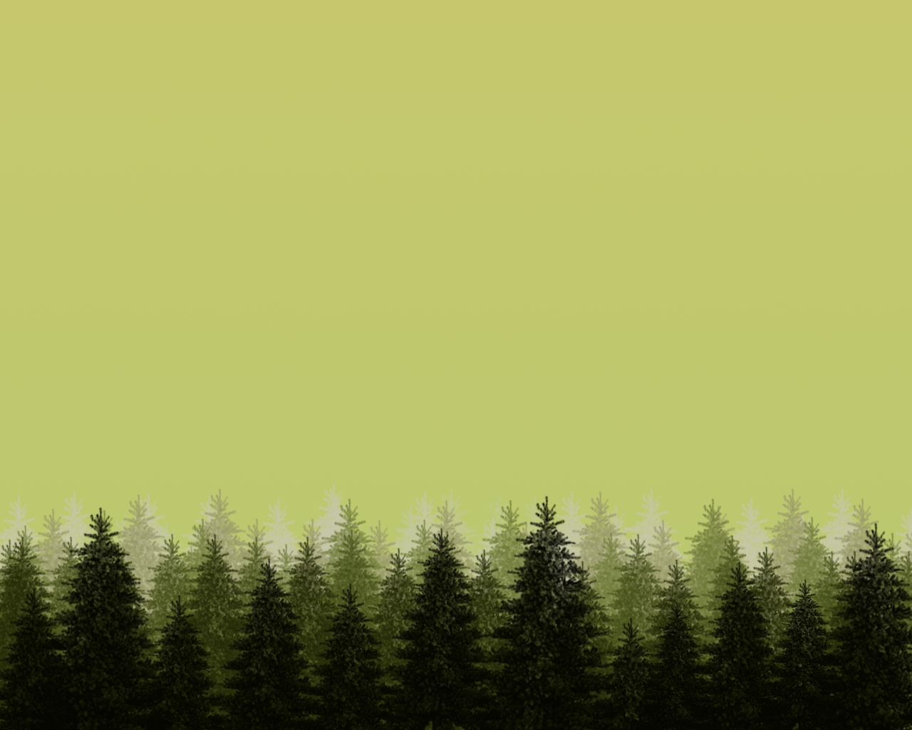 Pine forest by softwalls on