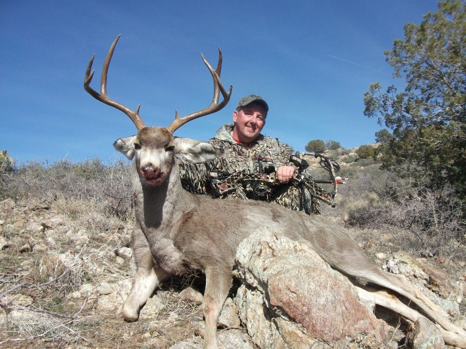 Deer Guides Arizona Mule Outfitters Hunts
