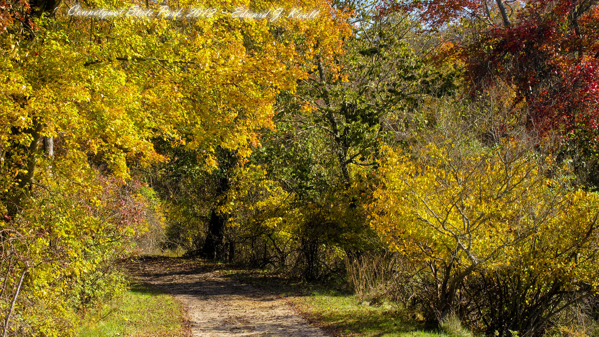 Autumn Leaves Connetquot Park Wallpaper 1920x1080 by ejkaull on 1191x670