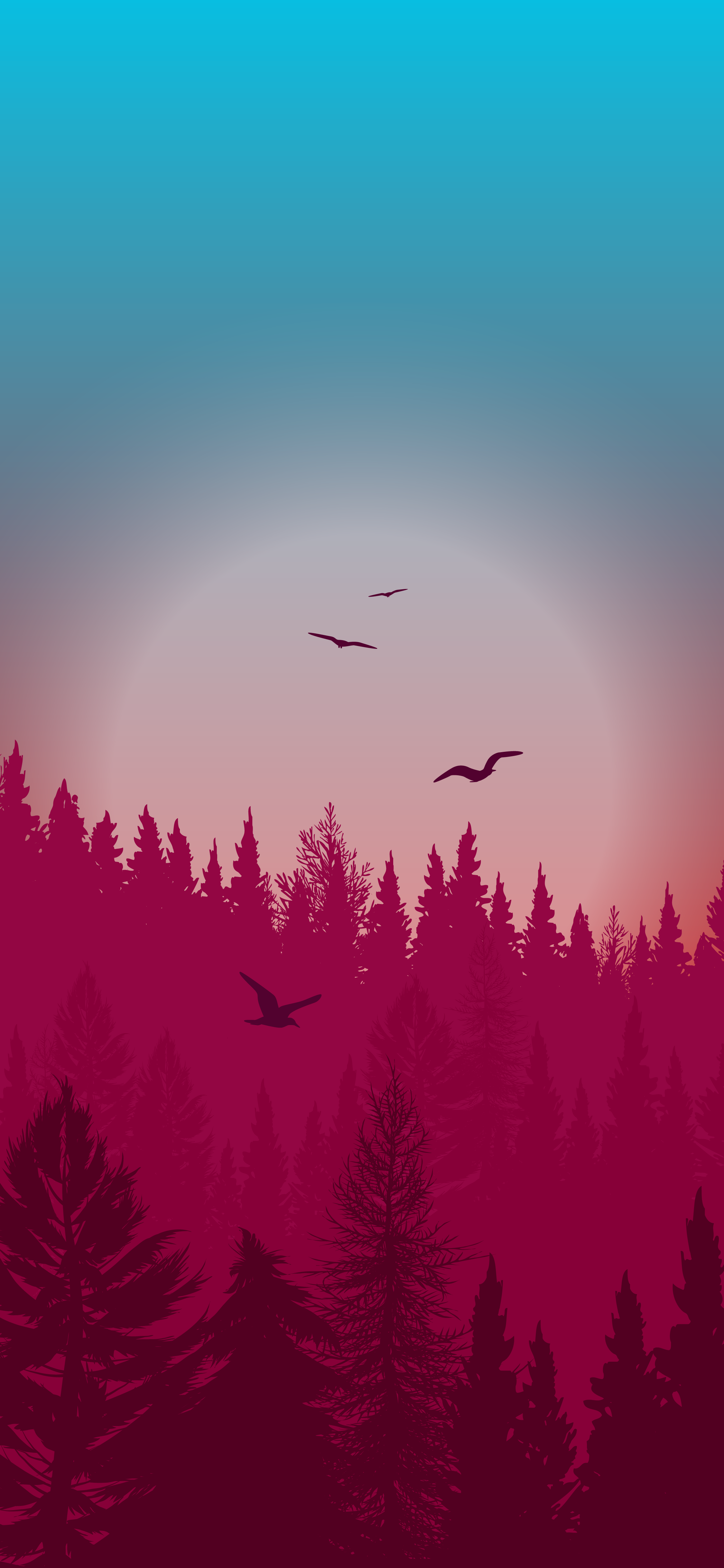Beautiful Wallpaper Aesthetic Forest Night