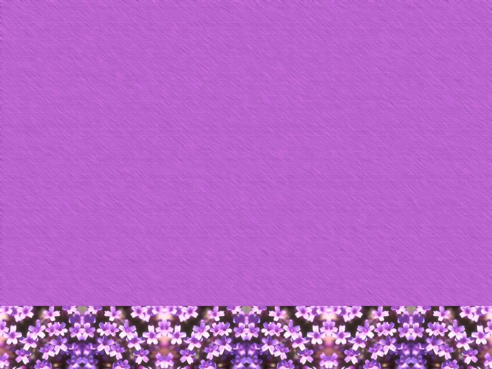 Light Purple Flower Background Image Amp Pictures Becuo