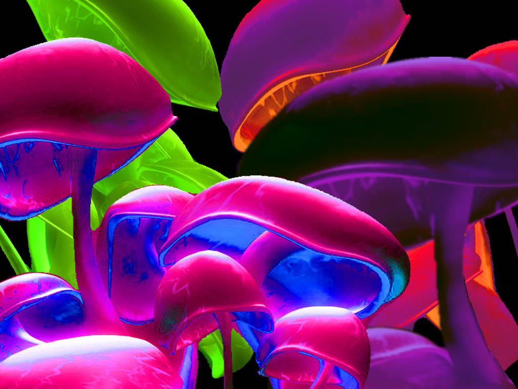Download Psychedelic Mushroom Neon Crystals Wallpaper  Wallpaperscom