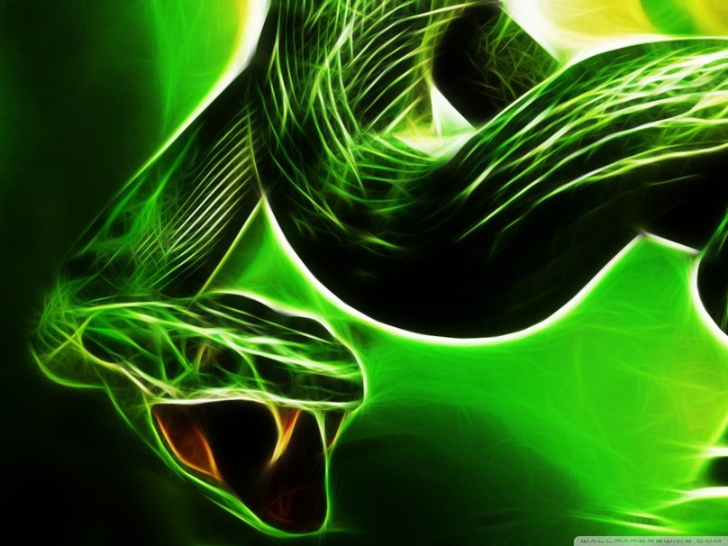 Serpiente Verde Fondo De Pantalla