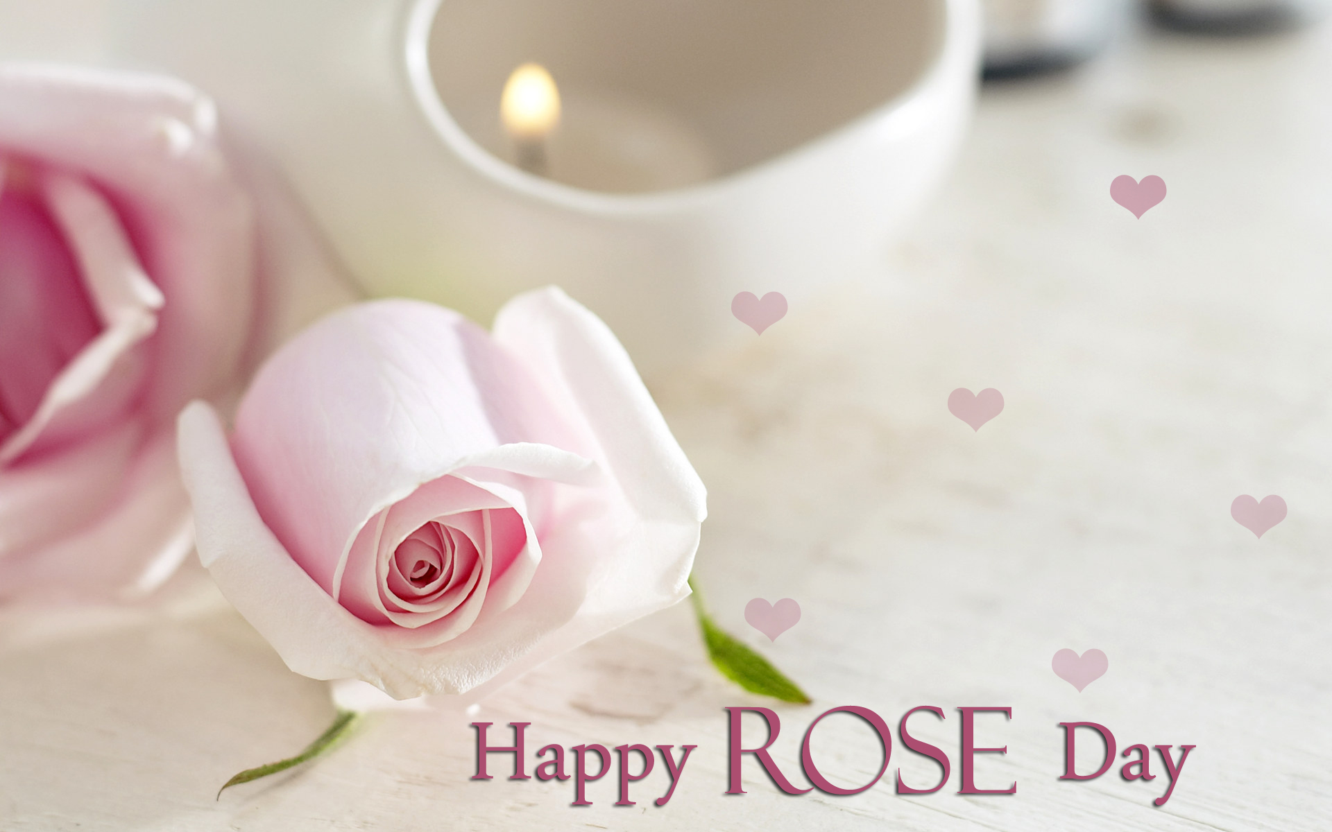 Rose Day Pictures Image Photos