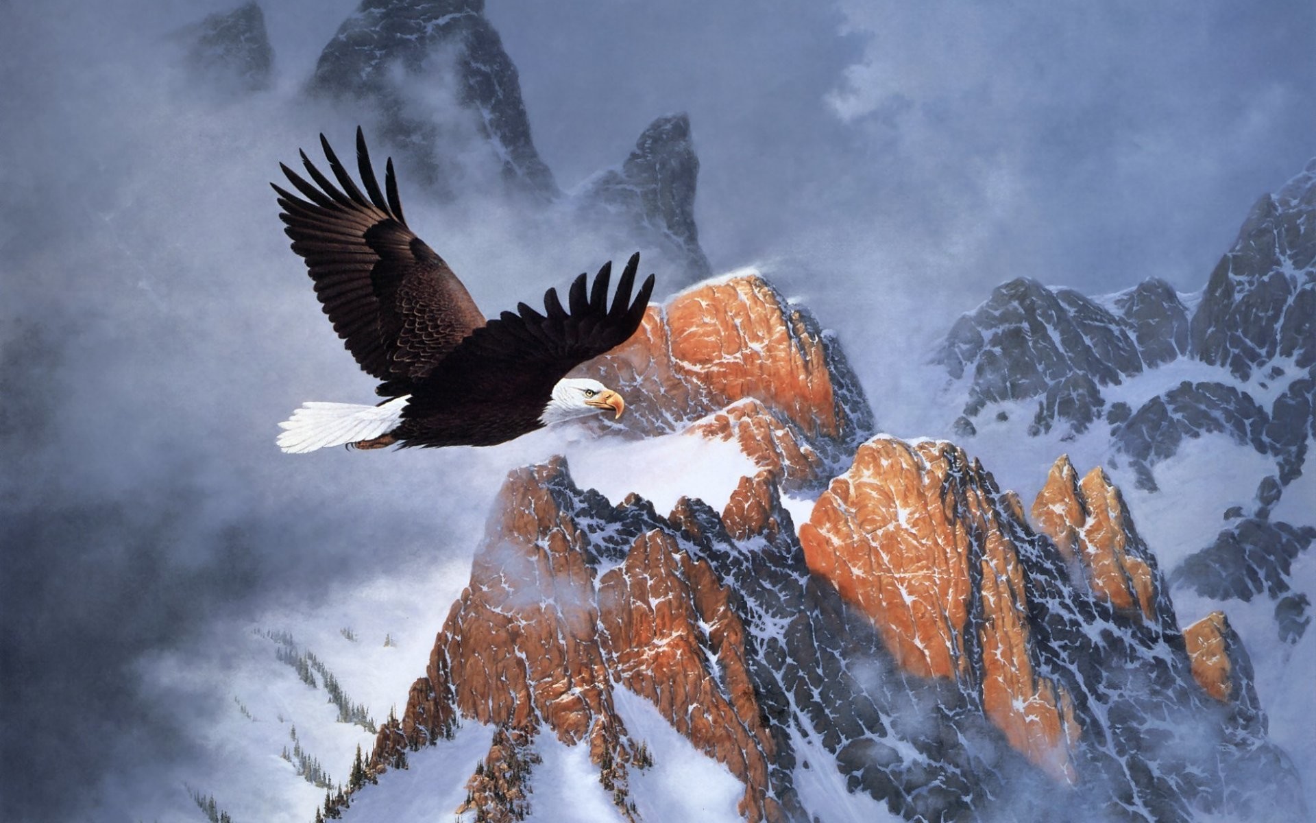 Bald Eagle Wallpaper