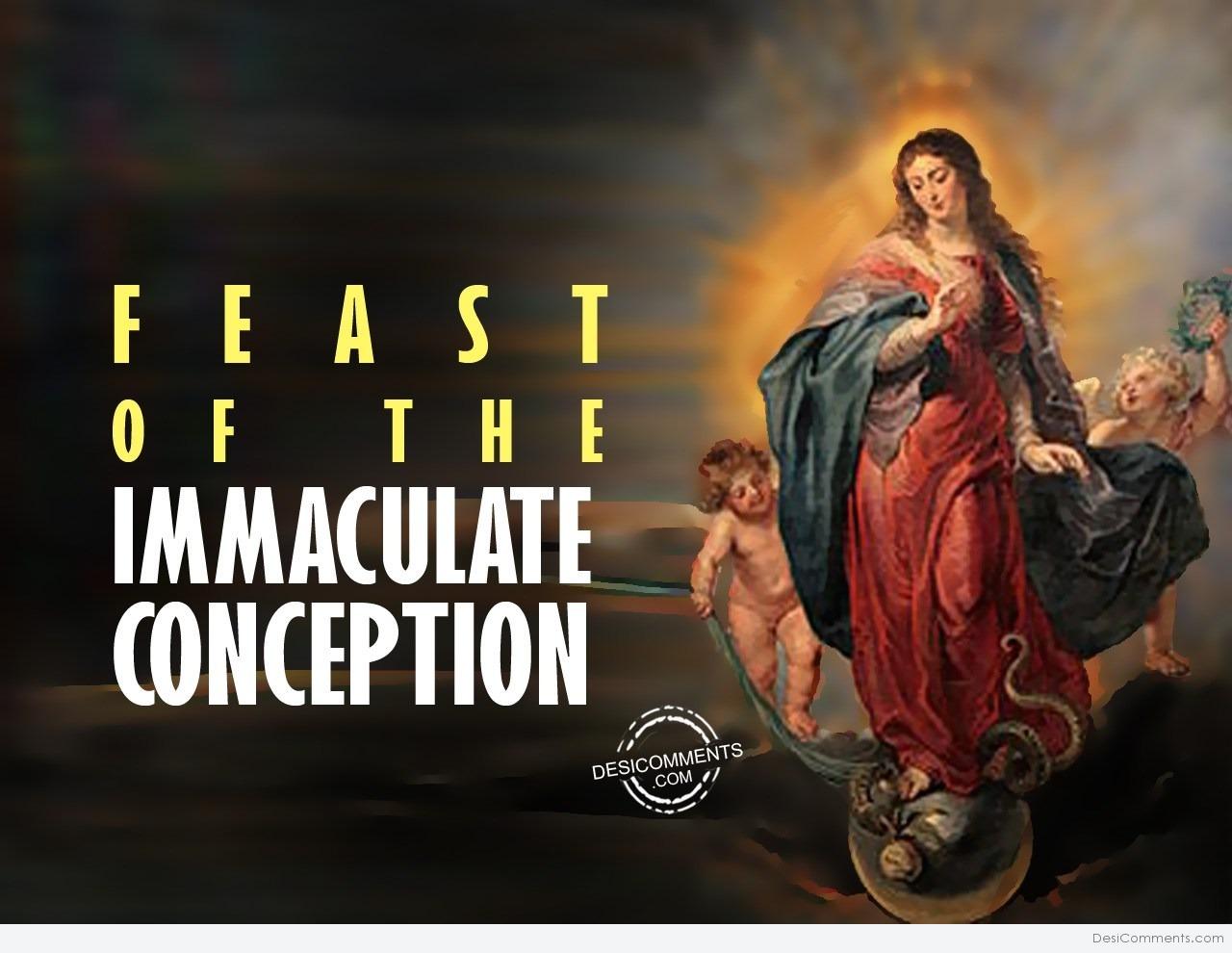 Feast Of The Immaculate Conception Pictures Image Graphics