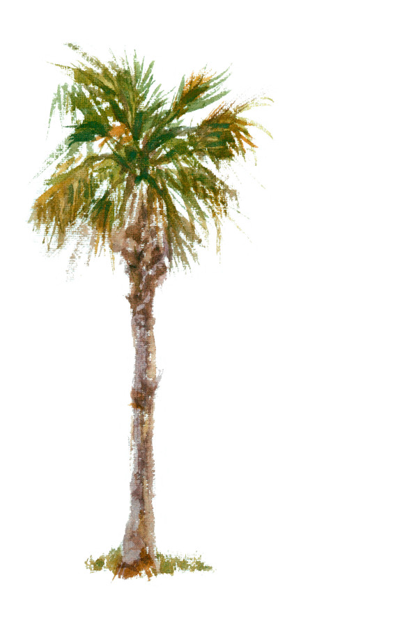 Scarface Palm Tree Wallpaper