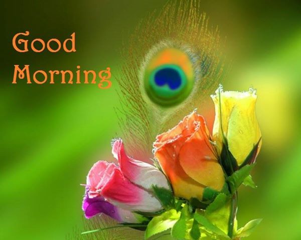 Beautiful Good Morning Wallpaper HD Uploaded