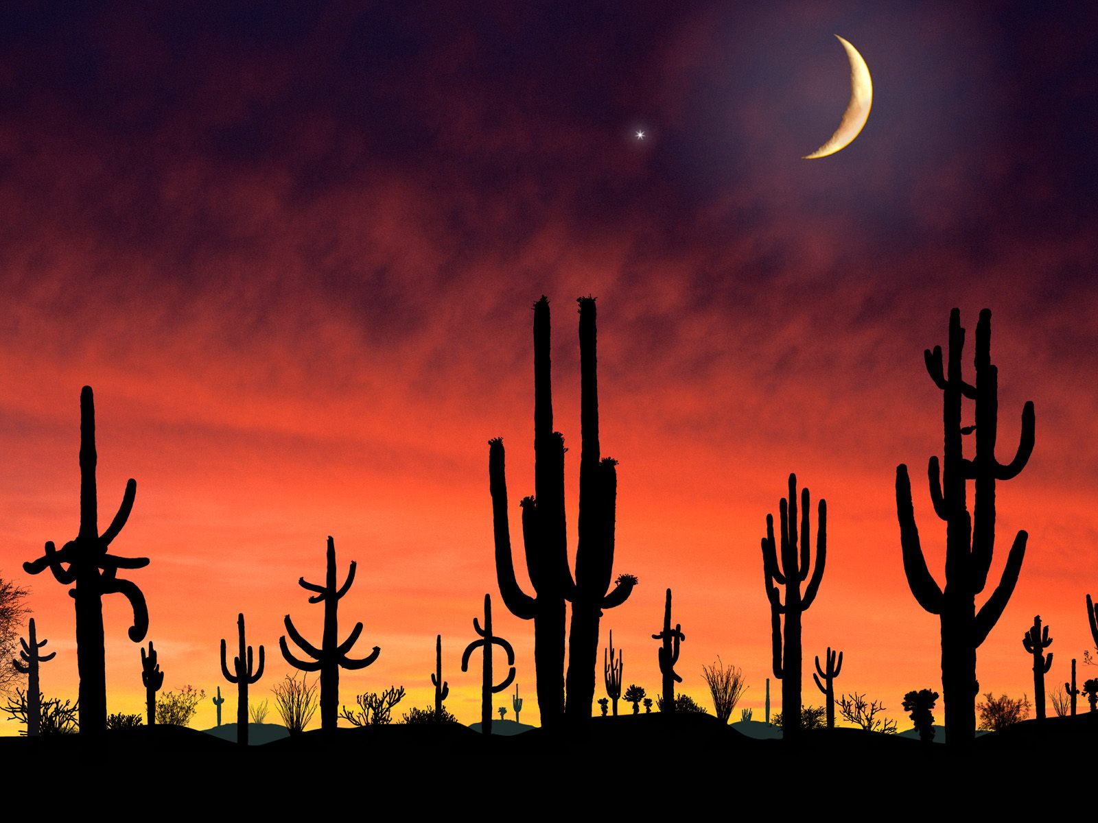 Arizona Sunset Wallpaper Desktop Cuteclipart Xyz