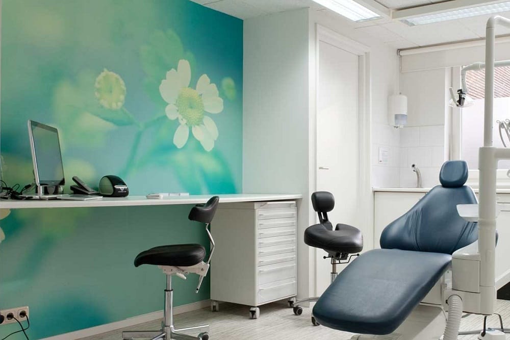 Worldfamous wallpaper designer commissioned to transform patient  environment