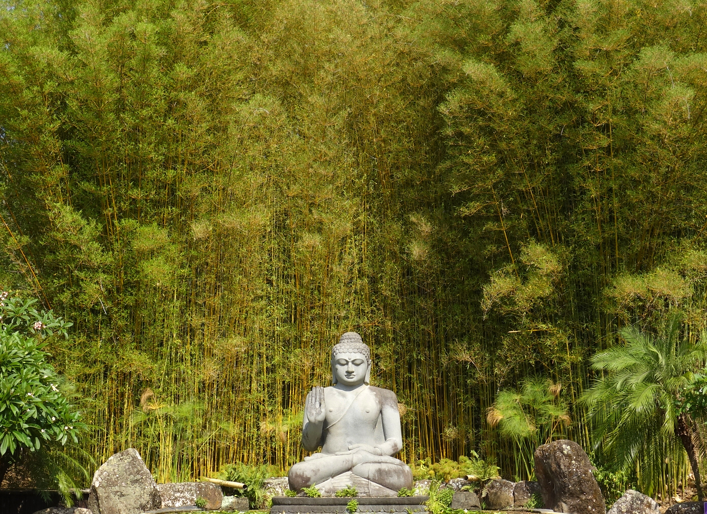 Image Monument Tranquility Statue Green Jungle Relax