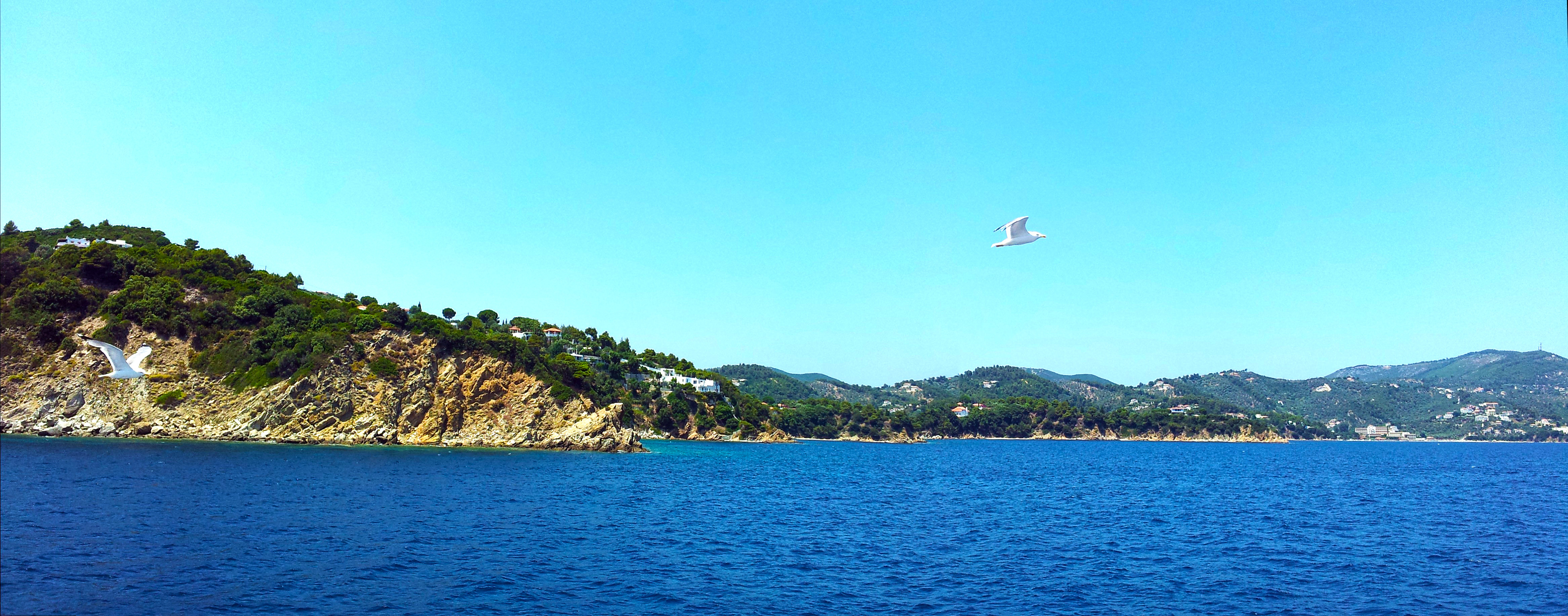 Seagulls Near Skiathos Island Greece Dual Screen HD
