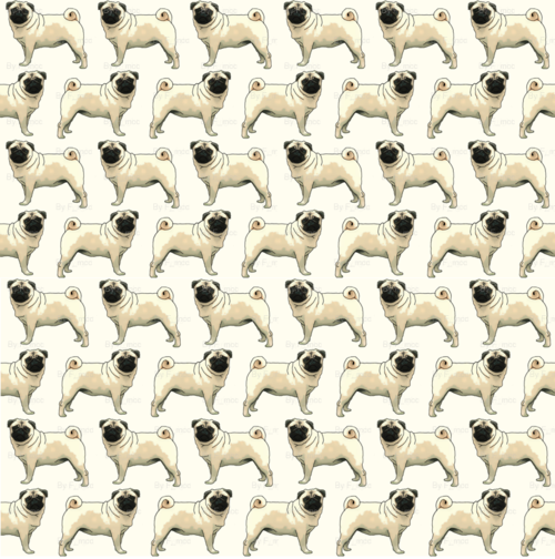 Pugs Pug Wallpaper