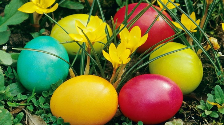 Easter Eggs Wallpaper High Quality