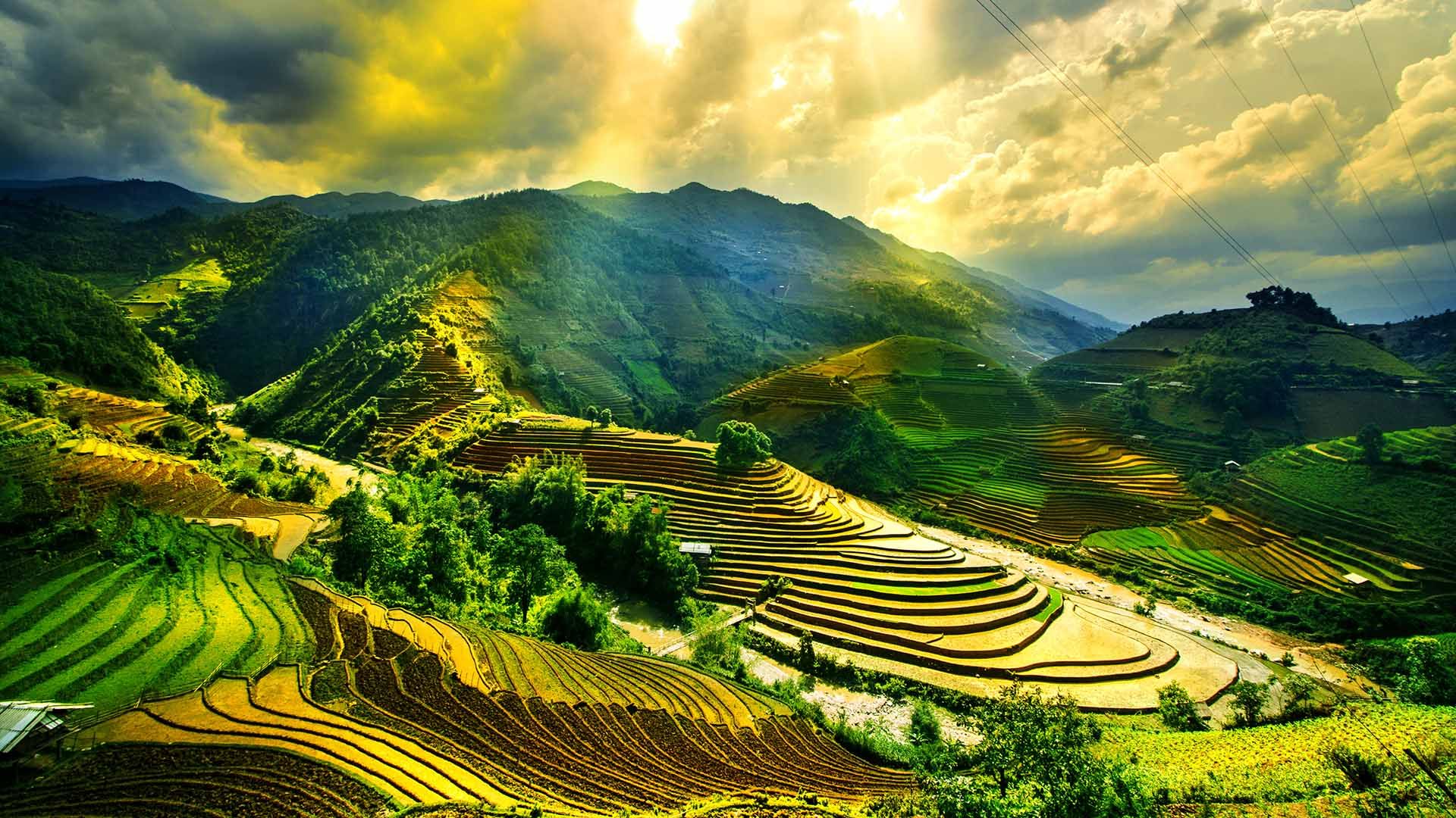 Vietnam Travel Guide Places To Visit In Rough Guides