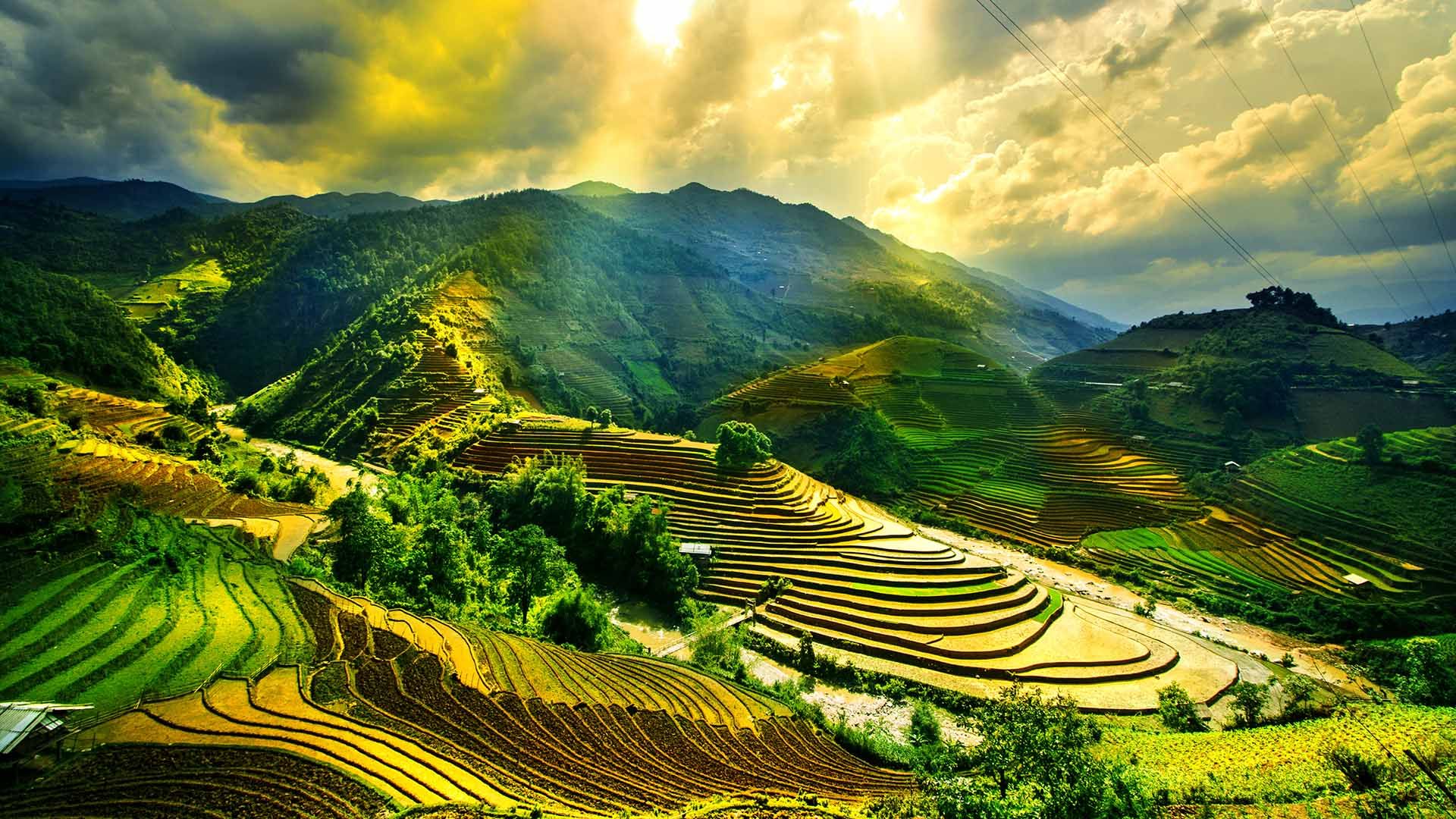  Download Vietnam Travel Guide Places To Visit In Rough Guides By 