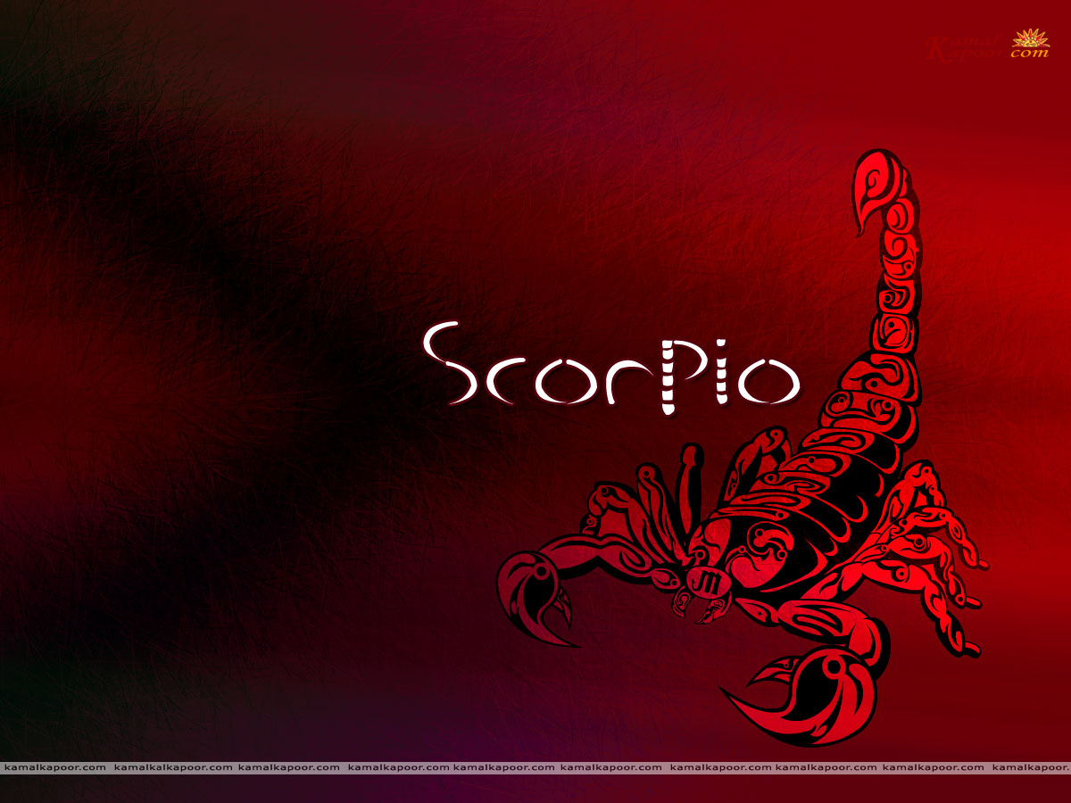 Wallpaper Scorpio Zodiac Designer