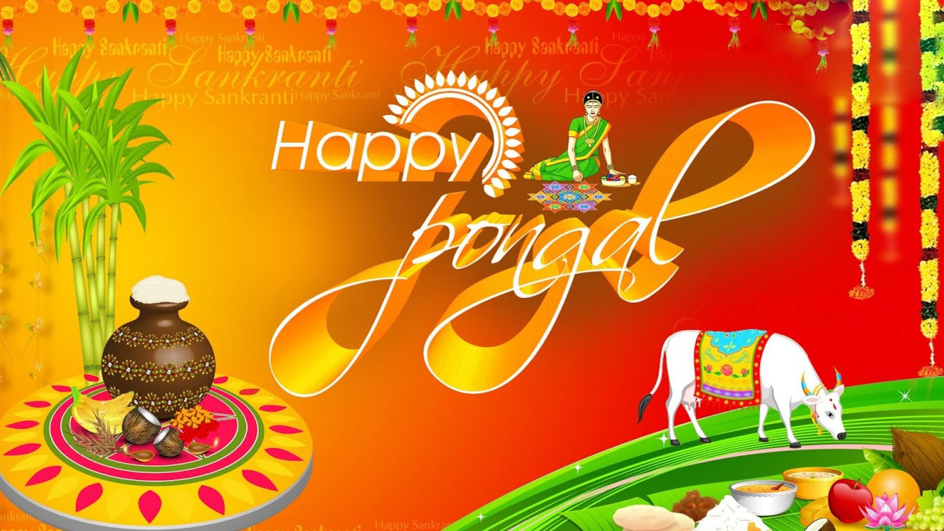 Happy Pongal HD Wallpaper Pics Tamil Telugu Festivals