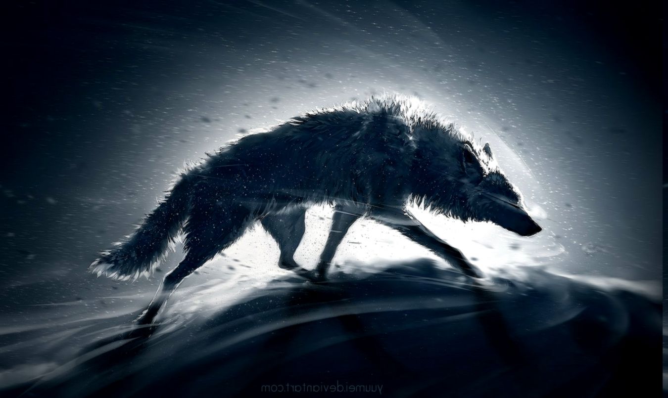 Animals Wolf Wallpaper HD Desktop And Mobile