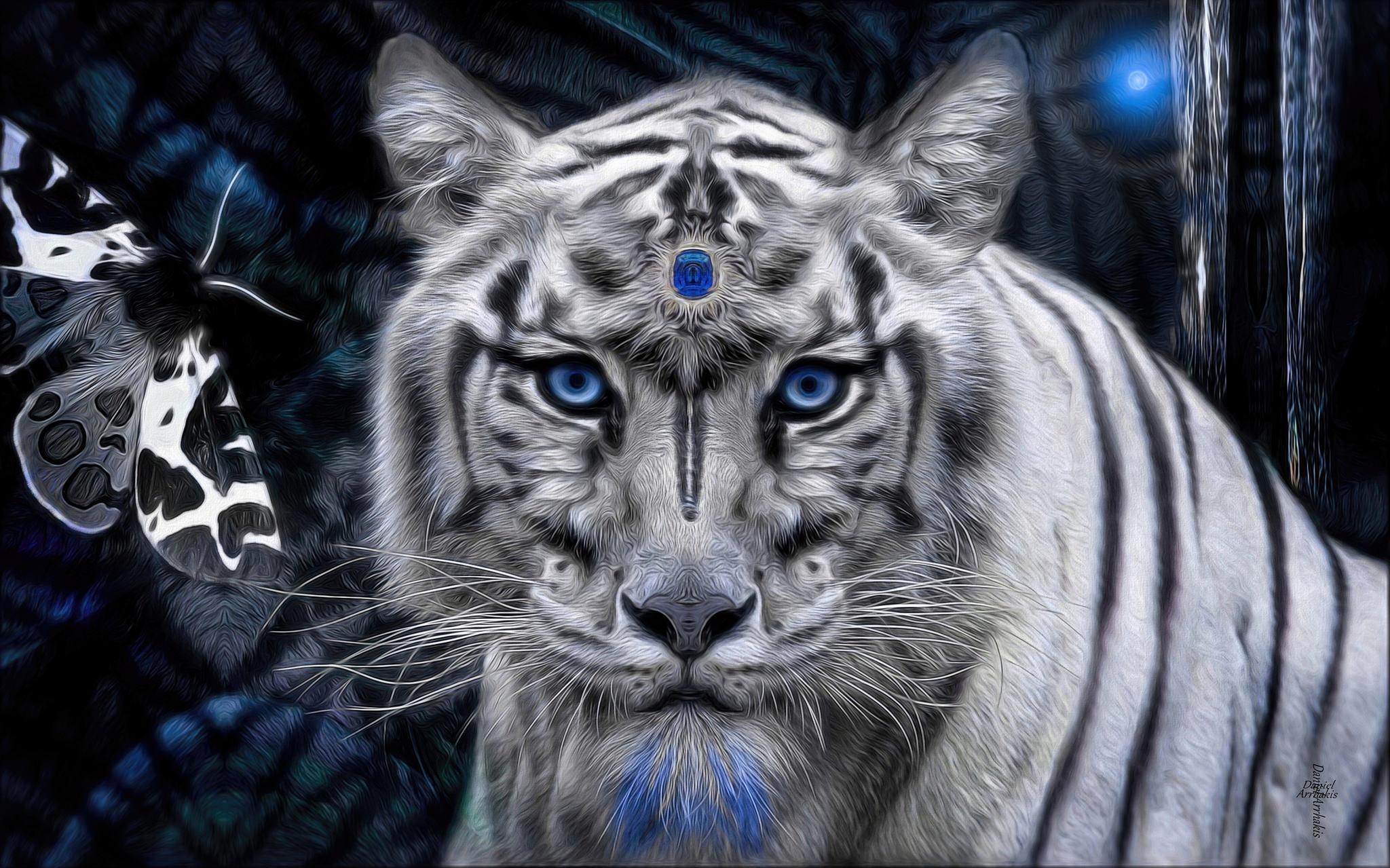 Fantasy Tiger HD Wallpaper
