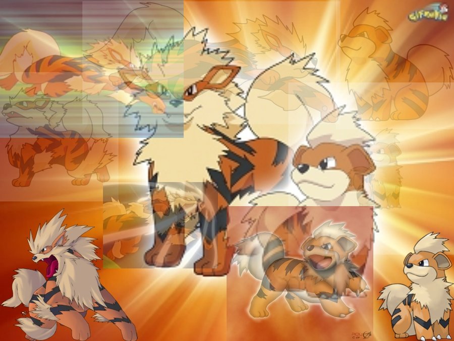 Pokemon Growlithe Wallpaper Image