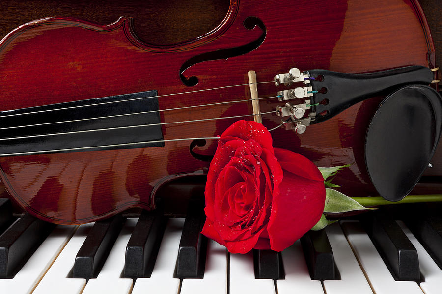 Violin And Rose On Piano By Garry Gay