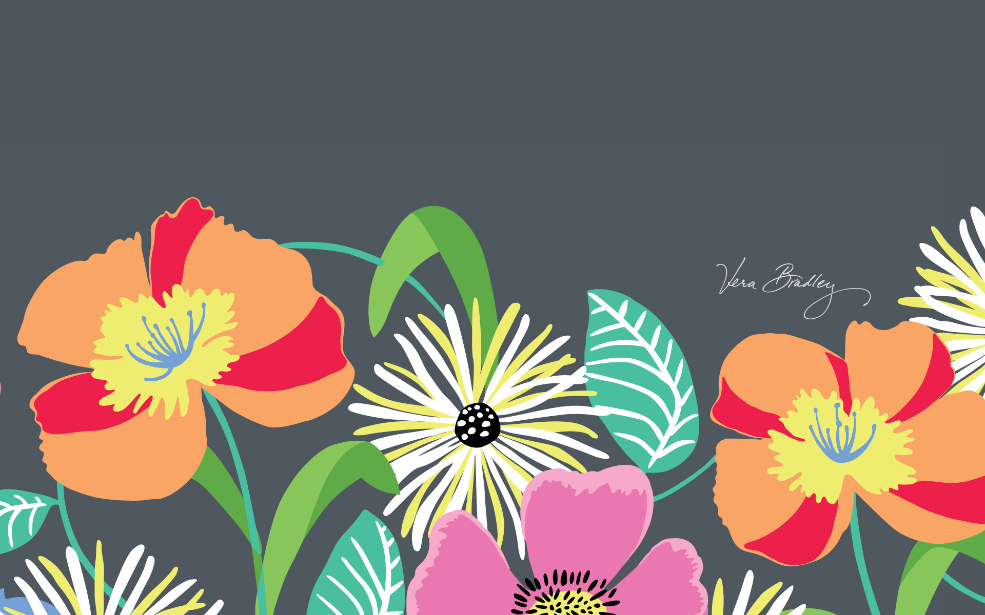 Love The New Colors Jazzy Blooms Is My Desktop Background