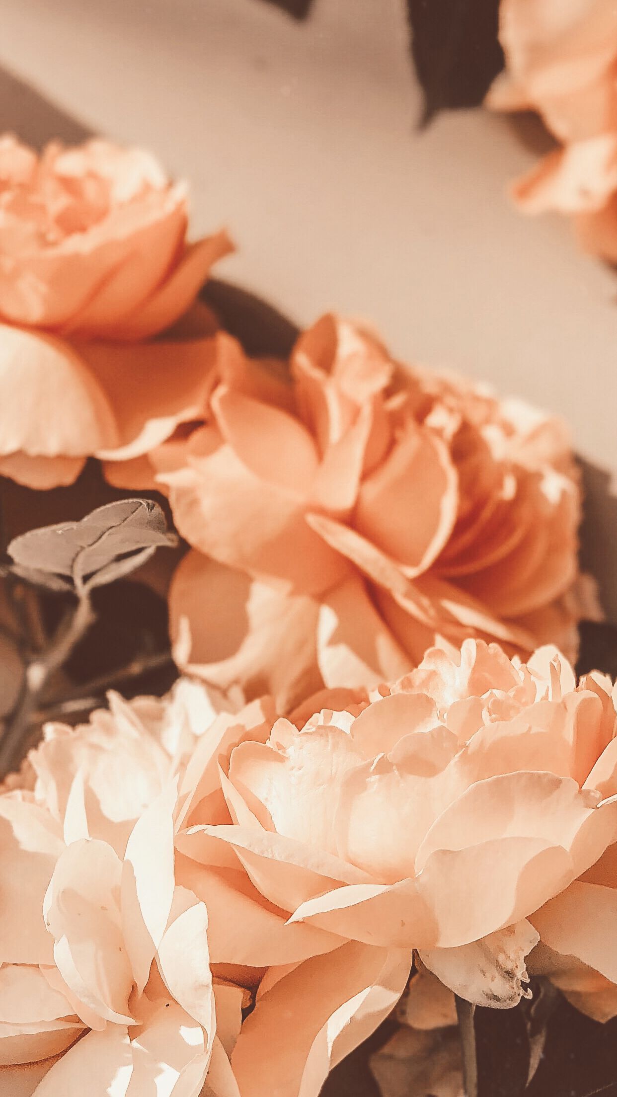 Ac2c3725d13ed15b6c2052368139033a Wallpaper
