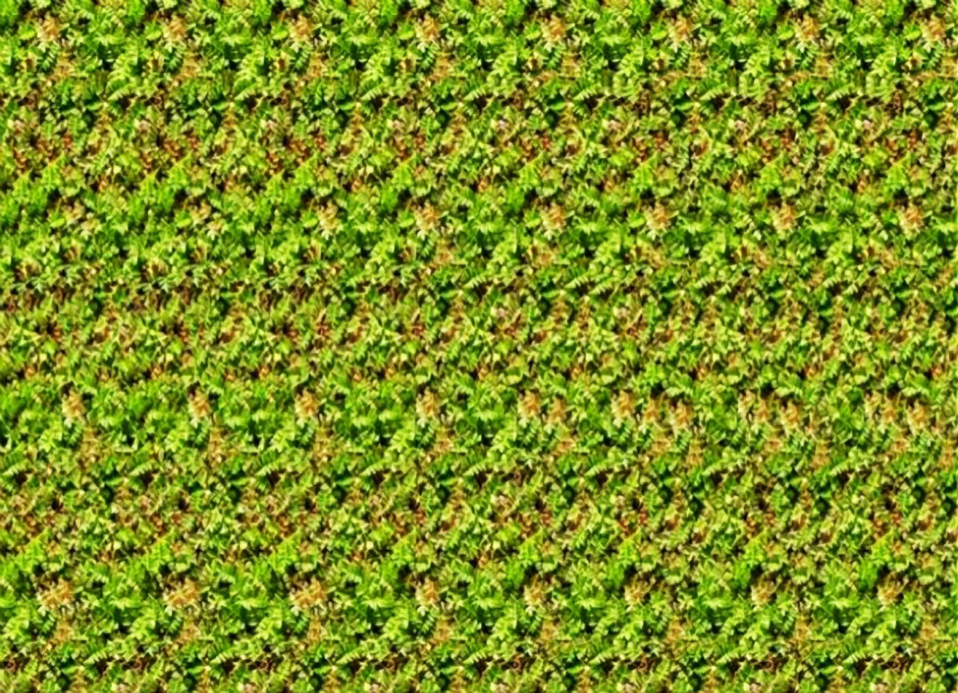 Stereogram Wallpapers 1900x1375