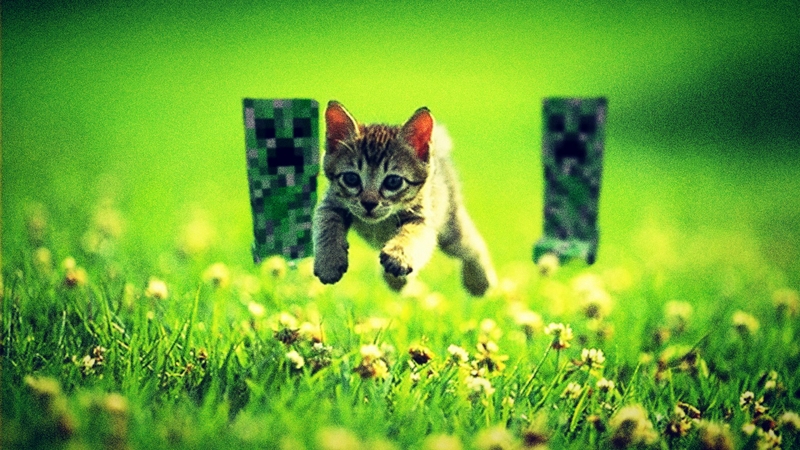  40 Minecraft Cat Wallpapers WallpaperSafari