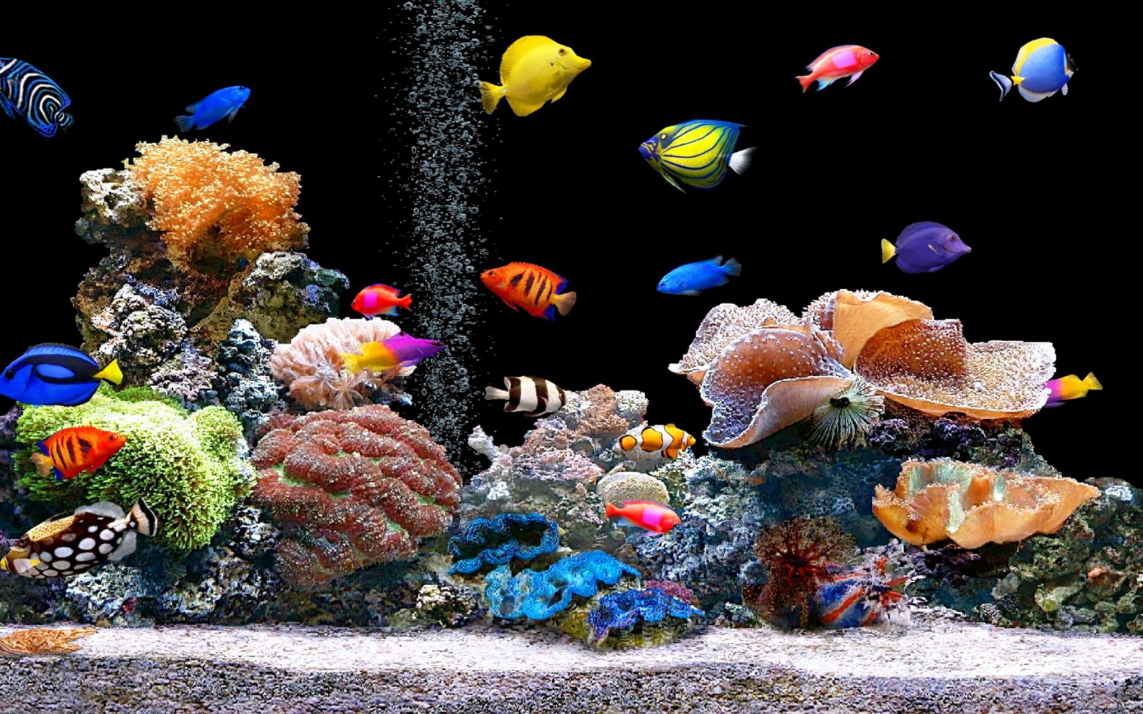 Tips To Get Cool Fish Tanks