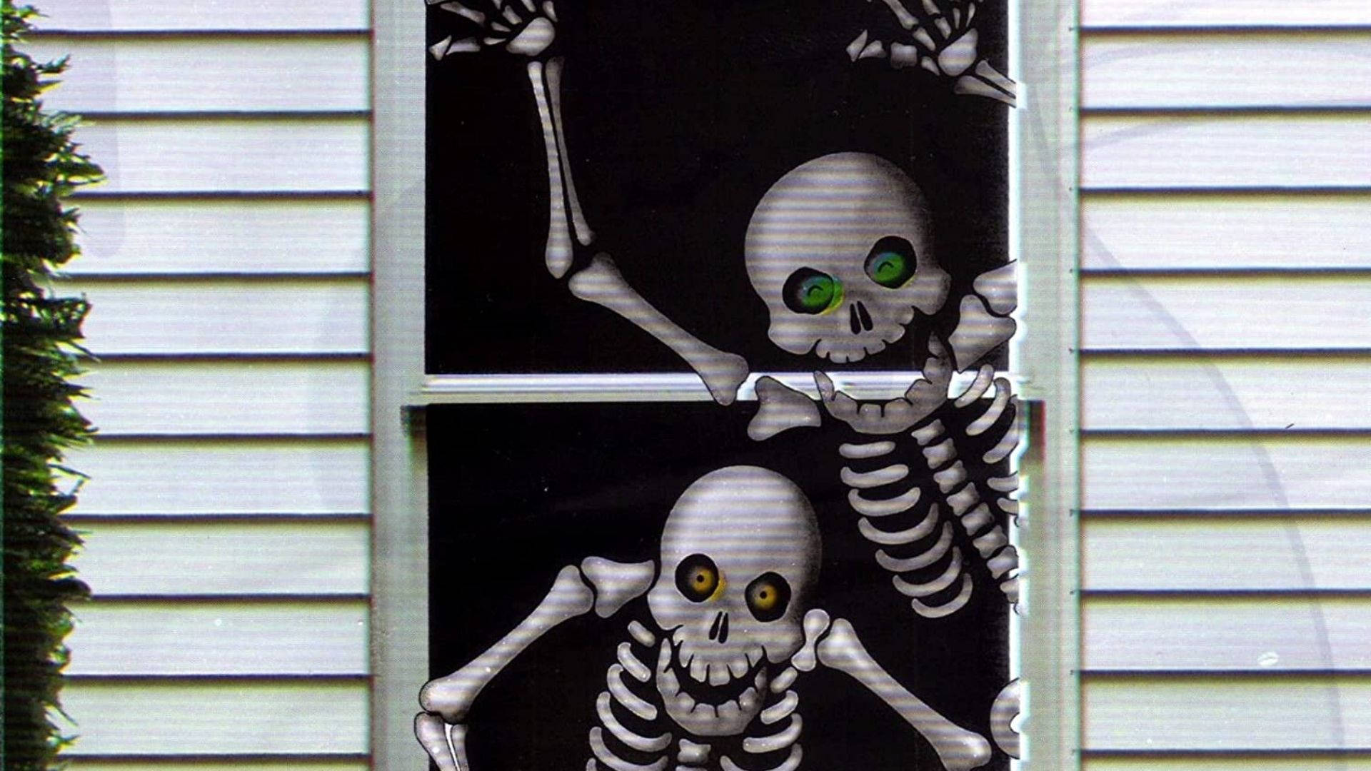 Skeleton Meme Wallpaper