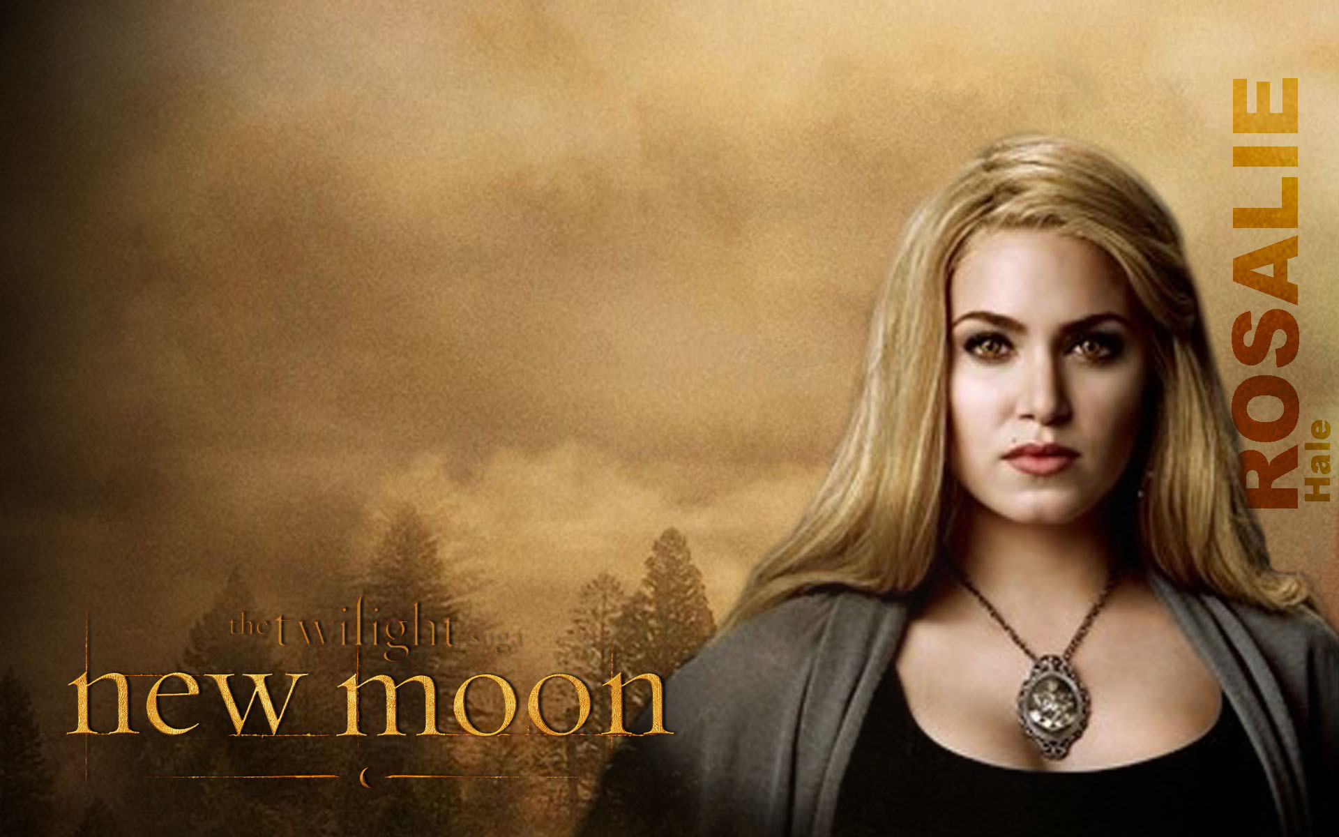 Twilight Series Image Rosalie HD Wallpaper And Background Photos