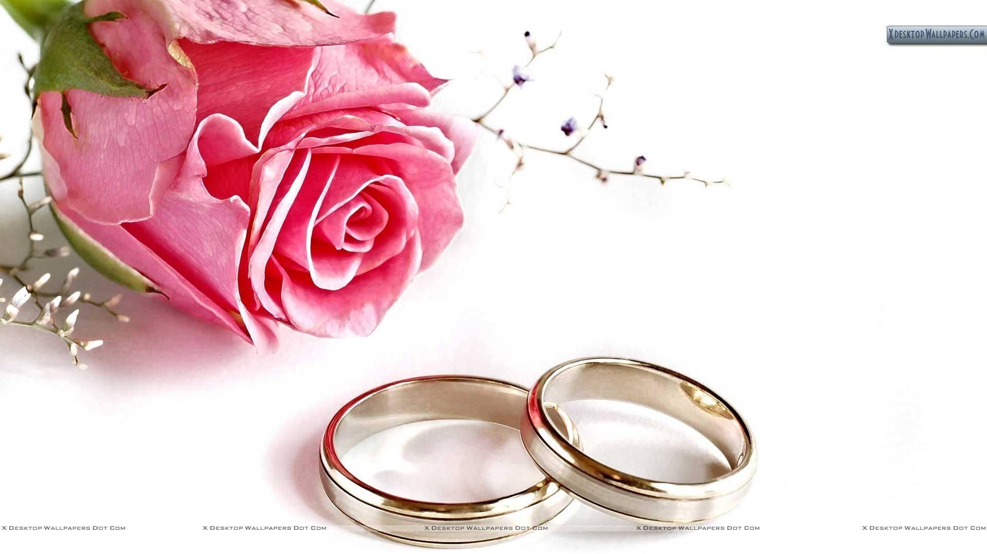 Wedding Rings And Pink Flowers Wallpaper