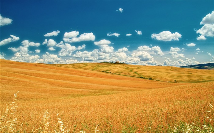 Tuscany prairie landscape theme wallpaper 13