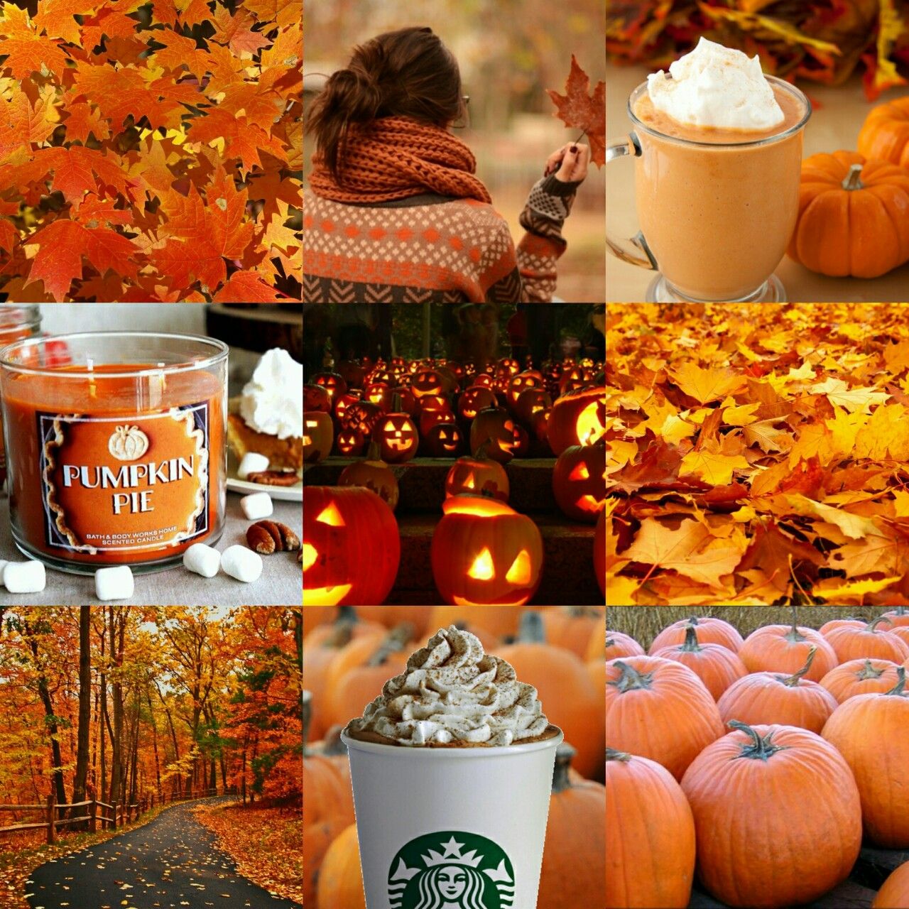 Autumn Aesthetic Wallpaper