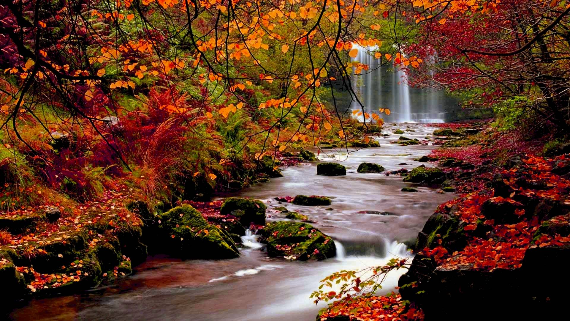 Autumn Wallpapers HD 1920x1080