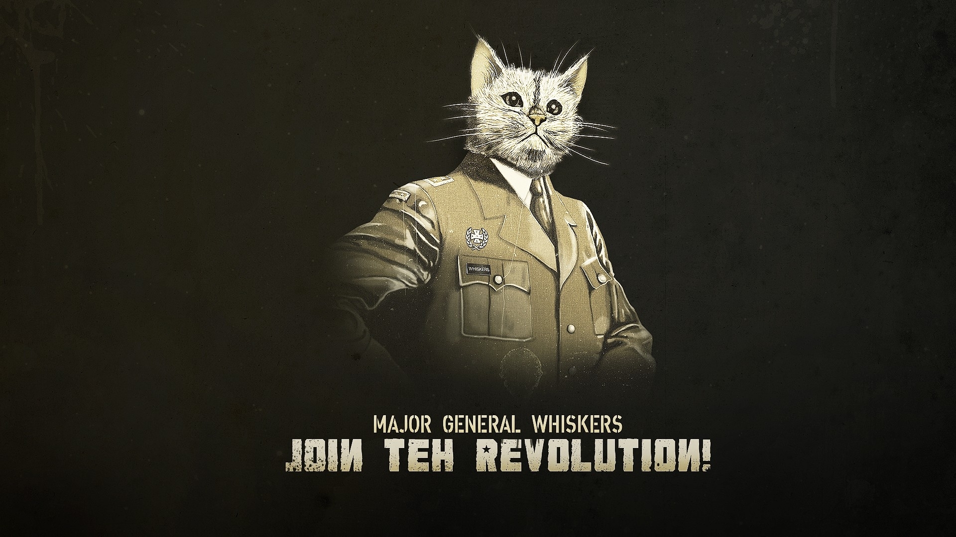 Funny Army Wallpaper Desktop Image