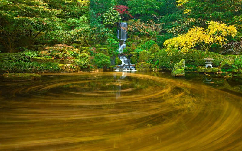  Spinning Pond Japanese Garden in Autumn Portland Oregon Wallpaper