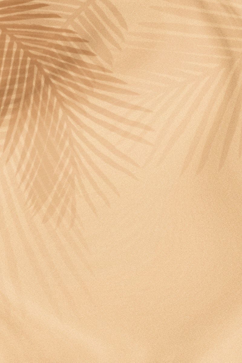 Free download Palm leaves shadow on a beige background free image by