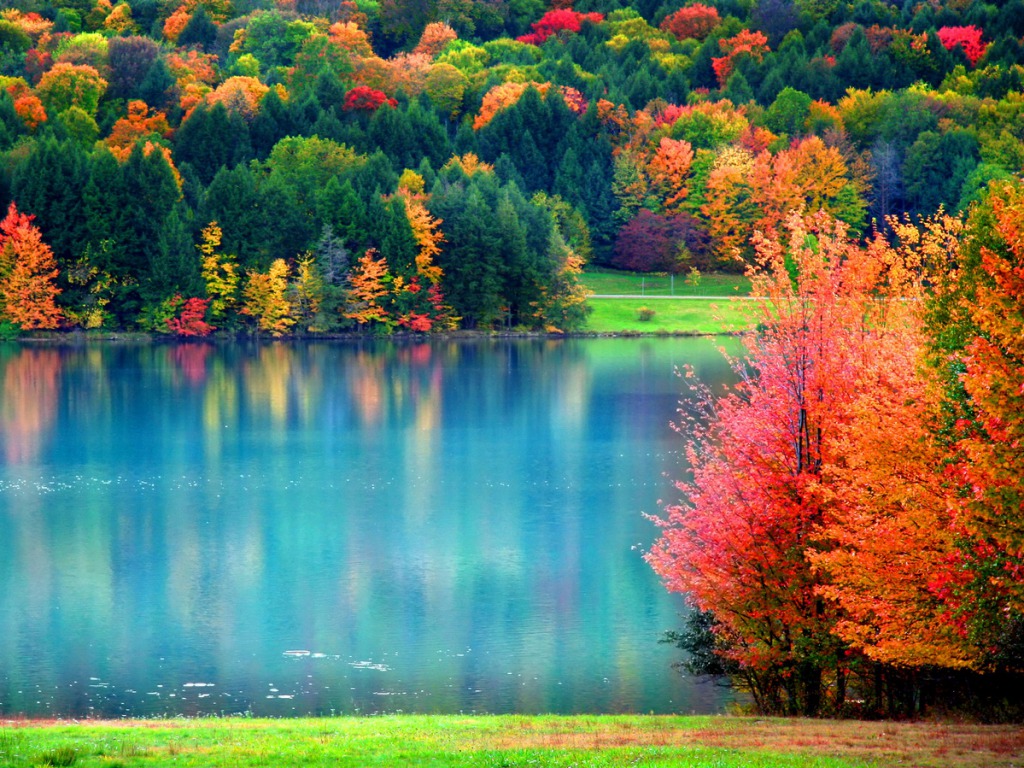 Fall Wallpaper HD Background Of Your Choice
