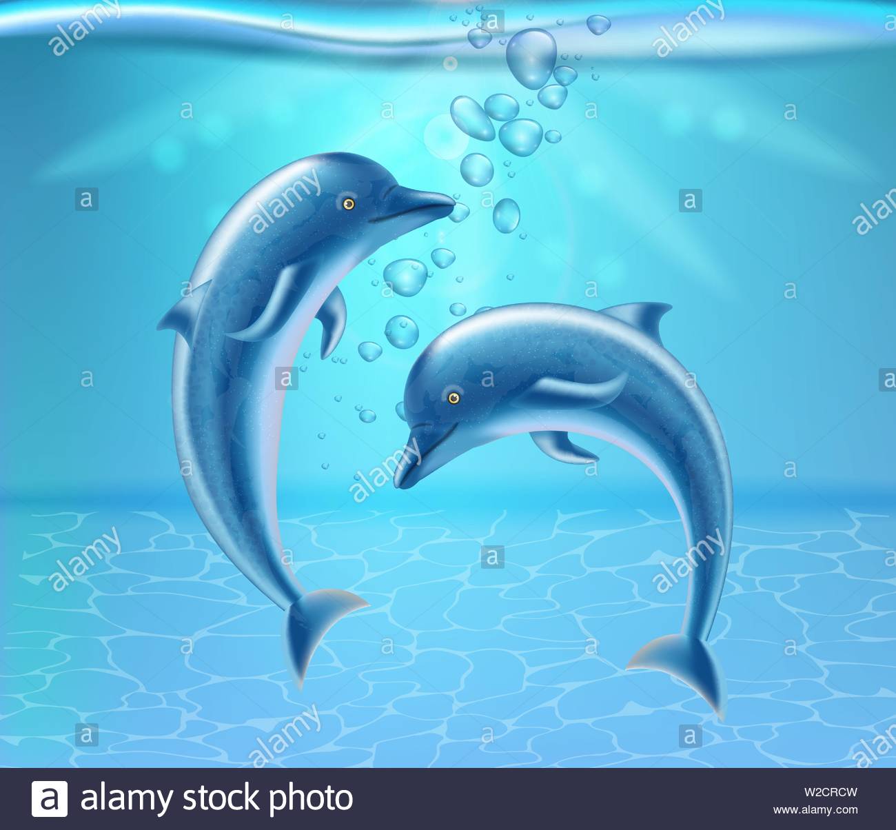 Dolphins Underwater Vector Realistic Beautiful Couple Dolphine
